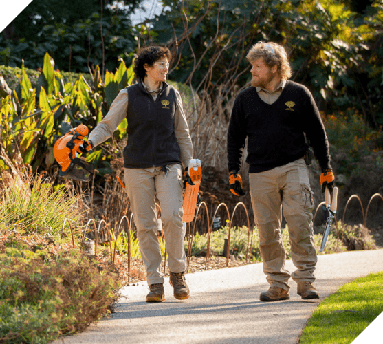 Expert In Gardening — Gardening Equipment In Urunga, NSW